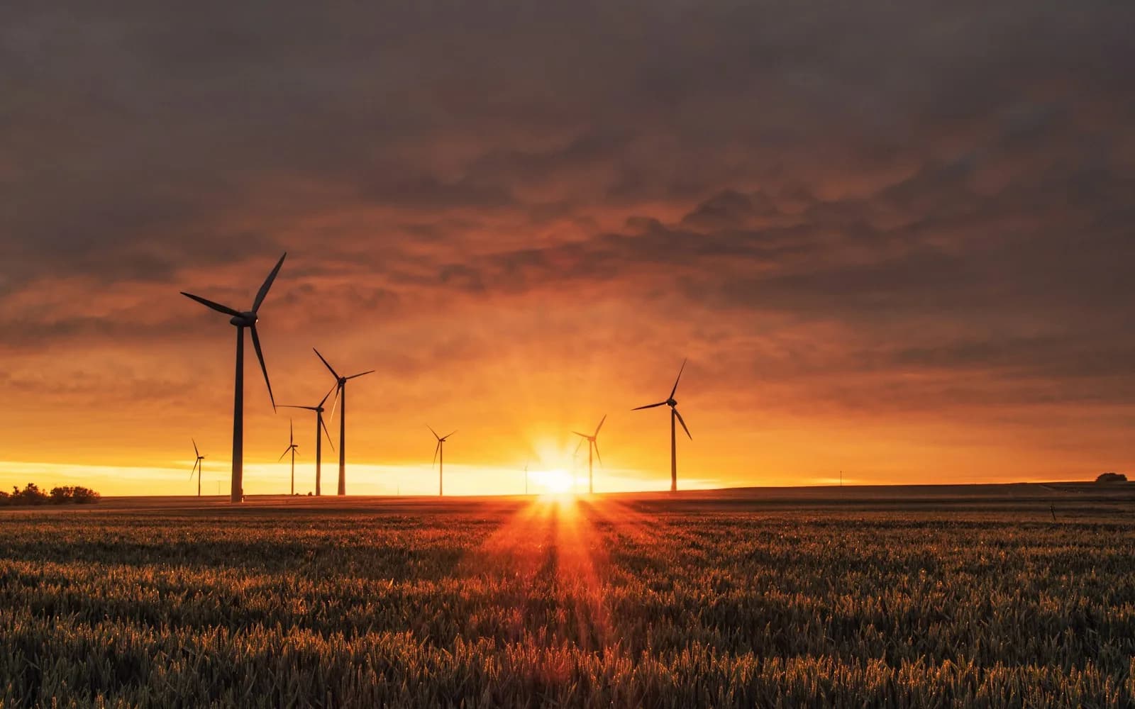Dimensionnement éolien avec WAsP